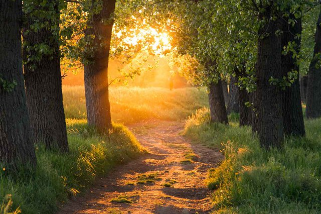 A Light in the Tunnel