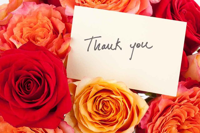 A Thank You Note for Jesus