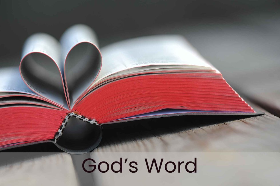 God's Word Icon