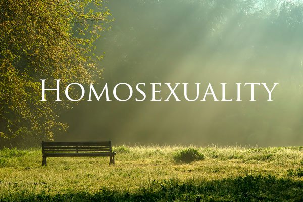 A Christian Response To Homosexuality Just Between Us 2420